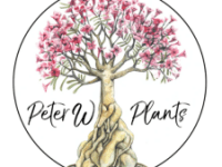 April Speaker | Peter&nbsp;Walkawiak