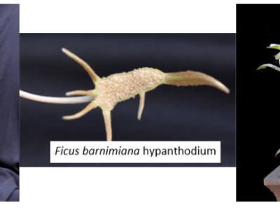 July 2025 Mini&nbsp;Show