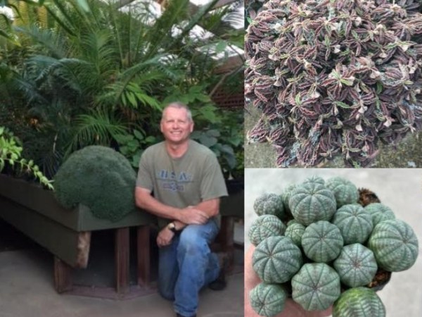 Al Klein  | November Meeting&nbsp;Speaker