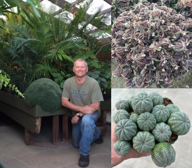 Al Klein with cacti and succulents