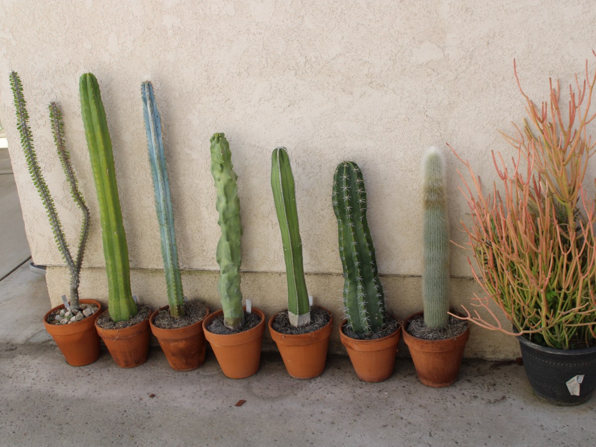 Member Gardens