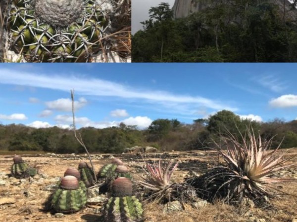 September Newsletter 2026